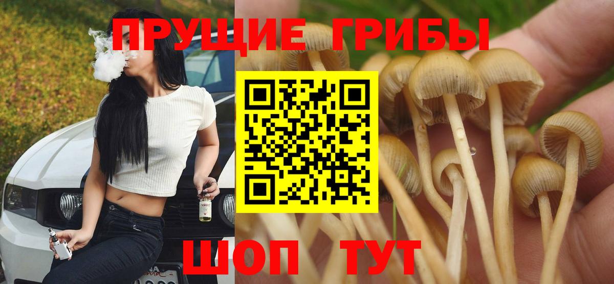 Моршанск  Псилоцибиновые грибы мухоморы  Вход с VPN 